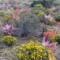 Karoo-View-Cottages