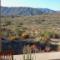 Views-from-the-cottages