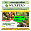 97.8 FM Growing Green Food Gardening on Radio Alpha Thurs 11am