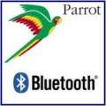 Parrot