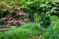 Garden Design/layout/maintenance services
