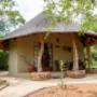Pangolin Drongo exterior