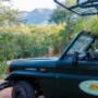Shikwari Game Drive