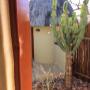 View of  courtyard to Hornbill Pvt Shower.