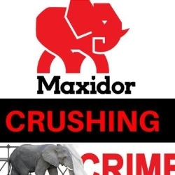 Maxidor Benoni, Heidelberg