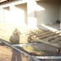 Wood structures