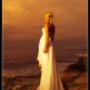 Couture Island Wedding gown