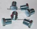 hydraulic fitting hollow hex plug