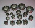 metalglass threaded sight glass