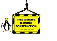 Guruideas IT Solutions's website