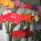 Flowers 1