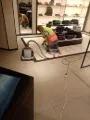 Carpet Extraction Cleaning
