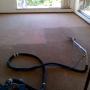 carpet results