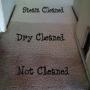 difference between steam and dry clean