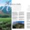 Magazine layout & Advertorials