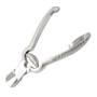 NailNipper(BarrelSpring)