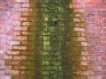 WALL CLEANING