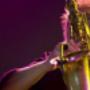 Abbey Artico sax player