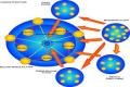 Small Business Internet Marketing