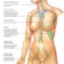 Manual Lymph Drainage - Call 072 150 1450 to book