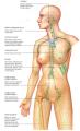 Manual Lymph Drainage