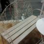 Love Bench
