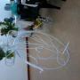 Penny Farthing