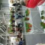 Potstand