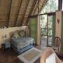 Palm Suite