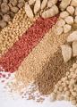 Soya Mince@Chunks