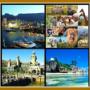African Courtesy Tours