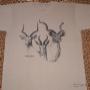 Uploaded by visitor on 2017/09/11 - 3 Buck Heads T-Shirts
