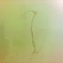 Crack in bath - before pic
