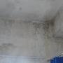 Painting - we paint as well - bathrooms preferably