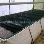 Fish Tanks