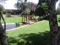 Duck Pond Koi Pond Liners