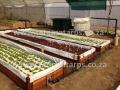 Aquaponic Hydroponic Grow Bed Liners