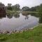 Large-Pond