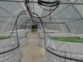 Welded Mesh Wall Dams (Reservoirs) Maasdraad Damme