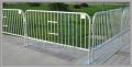 pedestrian-fencing