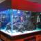 Cape Town Fish Market Cresta