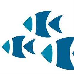 Marine Management Aquariums