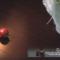 Natural Beuty!