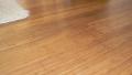 Click System Bamboo Flooring