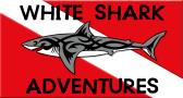 White Shark Adventures