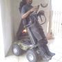 Standing Predator 4 x 4