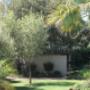 Back gardens