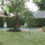 Swimmingpool