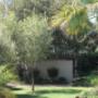 Uploaded by visitor on 2018/01/31 - Back gardens