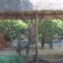 Uploaded by visitor on 2018/01/31 - Front lapa - smoking area